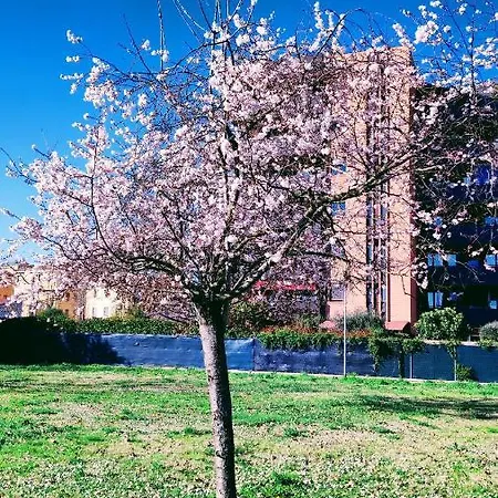 Vista Parco 2 Letti Matrimoniali * Bologna